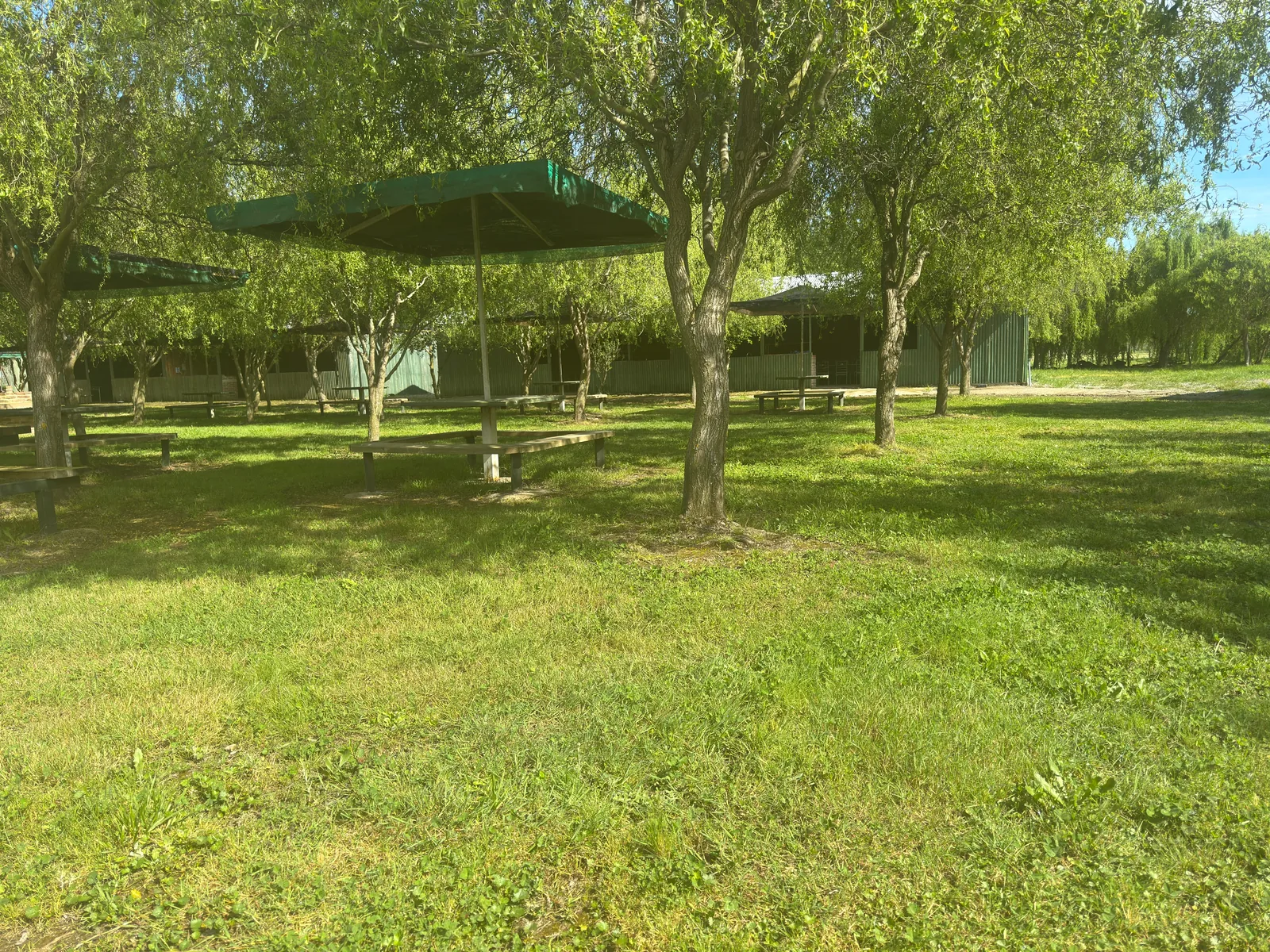 Mesas de picnic entre sauces y áreas verdes